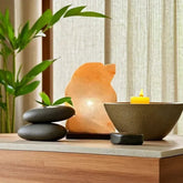 Dolphin Himalayan Salt Lamp