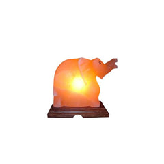 Elephant-shaped Himalayan salt lamp glowing amber on a wooden base against a white background