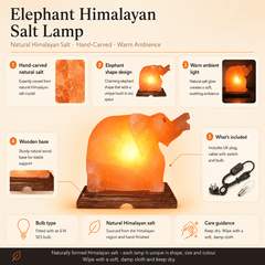 Elephant Shape Himalayan Rock Salt Lamp – infographic highlighting the product's key features
