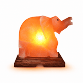 Elephant Shape Himalayan Rock Salt Lamp – studio product photo on a plain white background