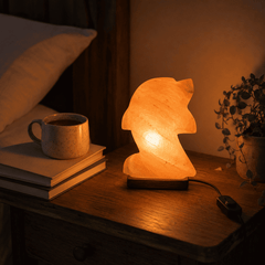 Dolphin Shape Himalayan Salt Lamp – styled in a home lifestyle setting, lit at evening