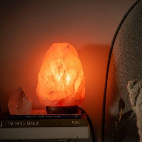 Himalayan Salt for Grilling and BBQ: Blocks, Tips & Recipes
