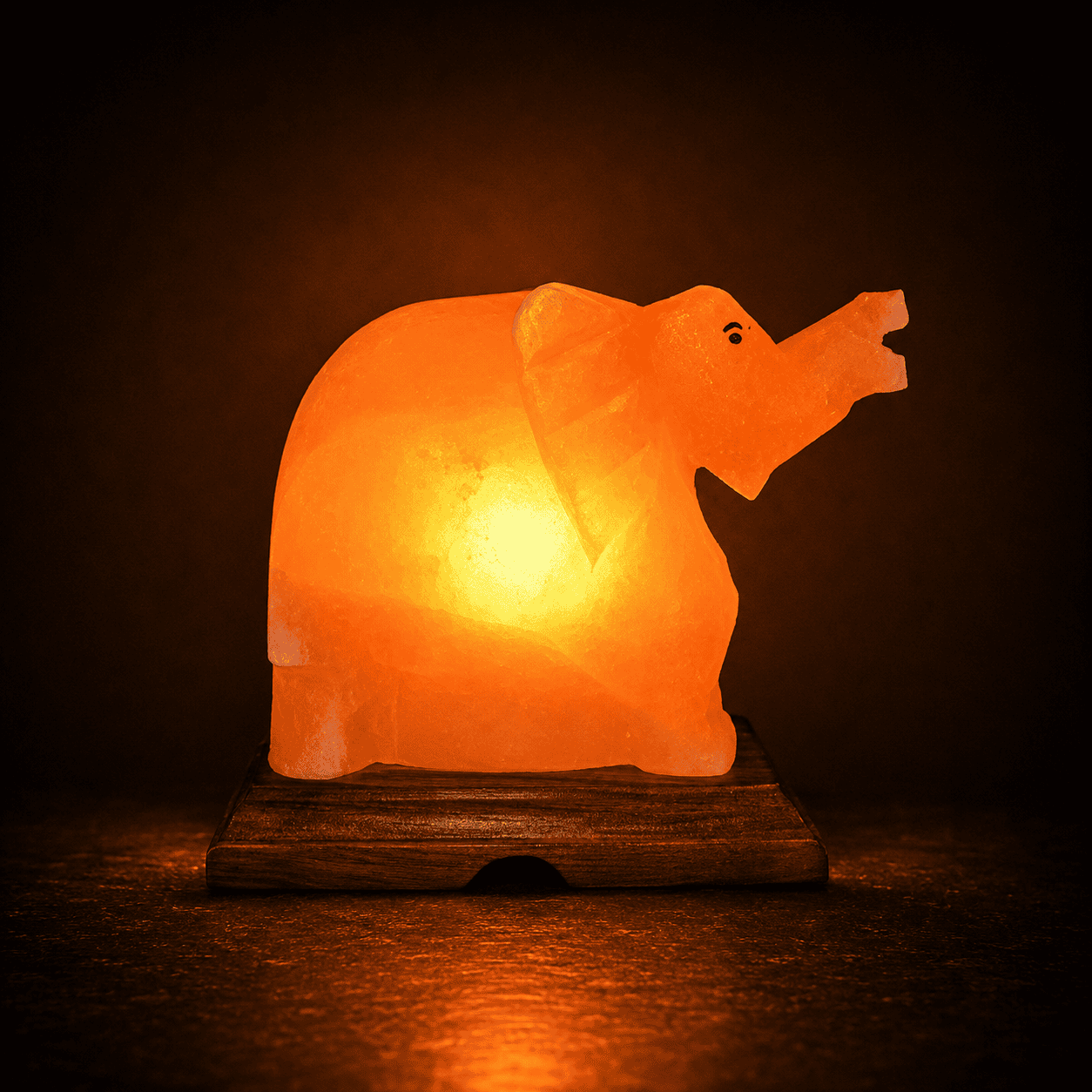 Elephant Shape Himalayan Rock Salt Lamp – studio photo lit against a dark background