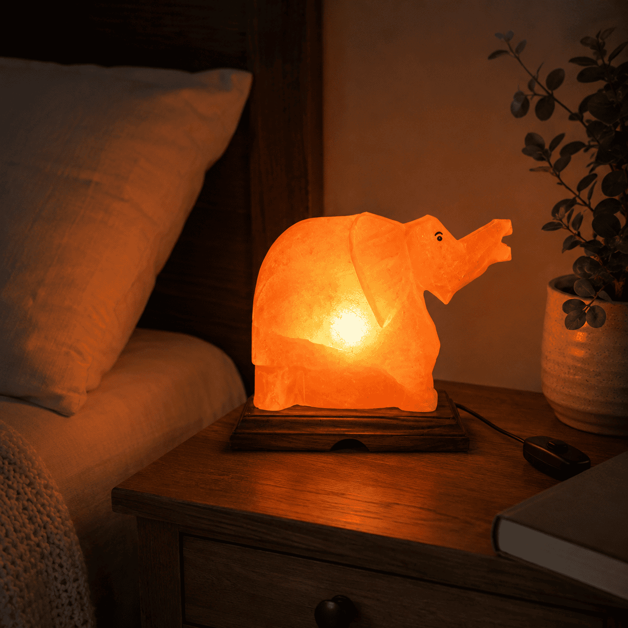 Elephant Shape Himalayan Rock Salt Lamp – styled in a home lifestyle setting, lit at evening