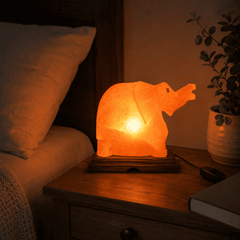 Elephant Shape Himalayan Rock Salt Lamp – styled in a home lifestyle setting, lit at evening