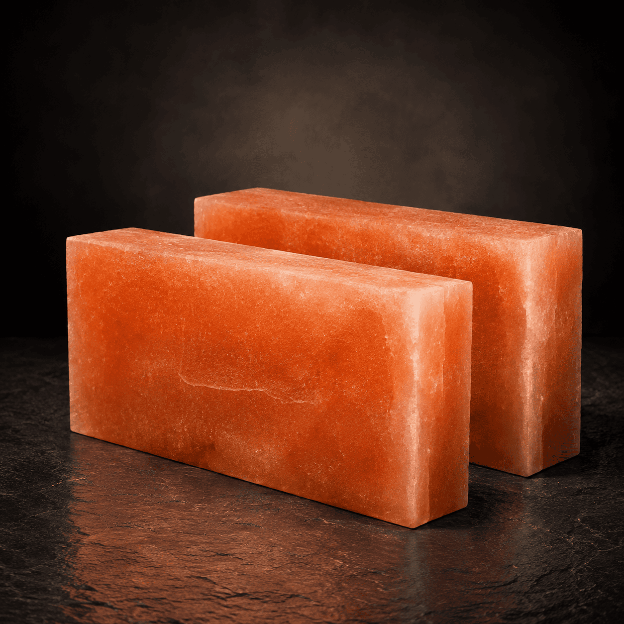 Natural Himalayan Salt Brick (Pack of 2) – studio photo lit against a dark background
