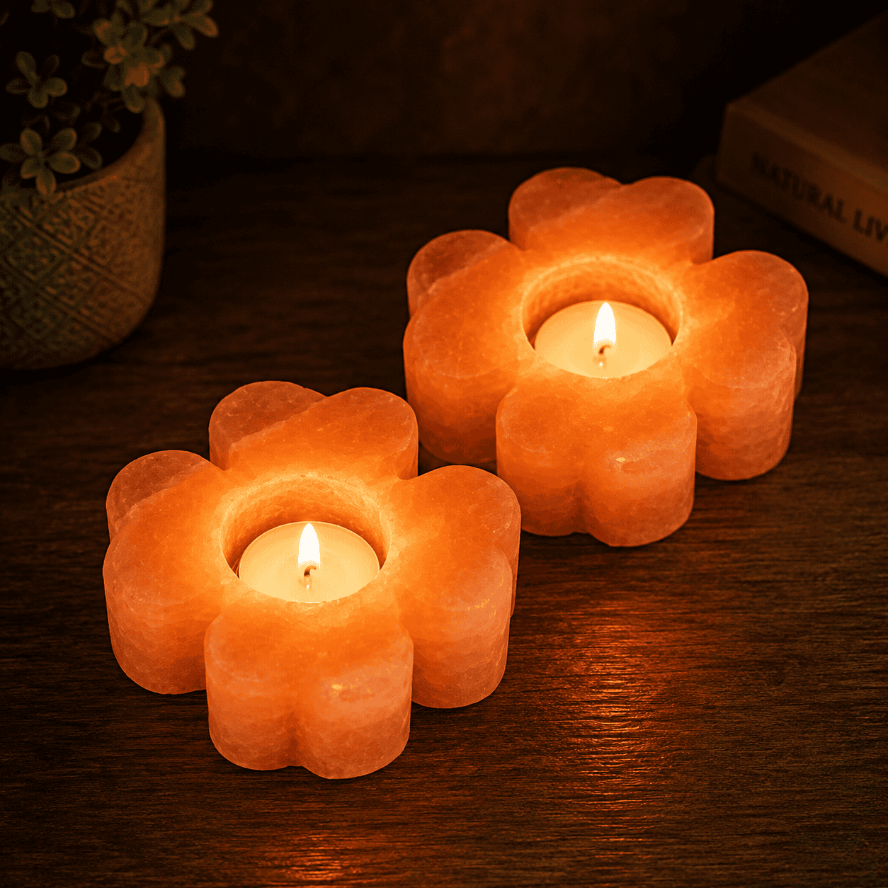 Flower Shape Himalayan Salt Candle Holder (Set of 2) – studio photo lit against a dark background