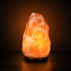 Himalayan Salt Lamp (2-3kg) – studio photo lit against a dark background