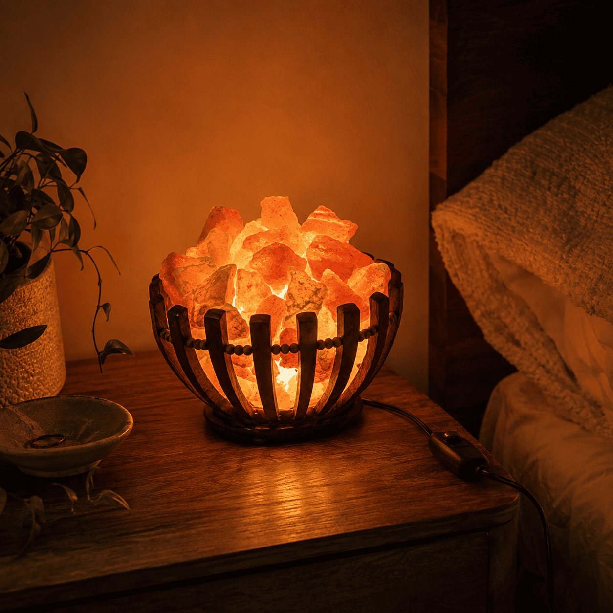 The Himalayan Salt