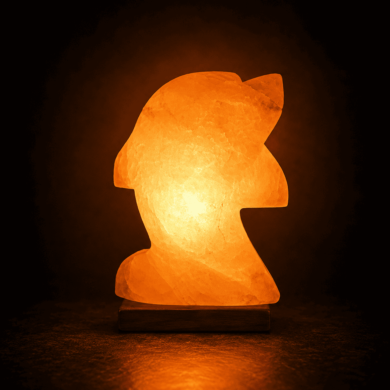 Dolphin Shape Himalayan Salt Lamp – studio photo lit against a dark background